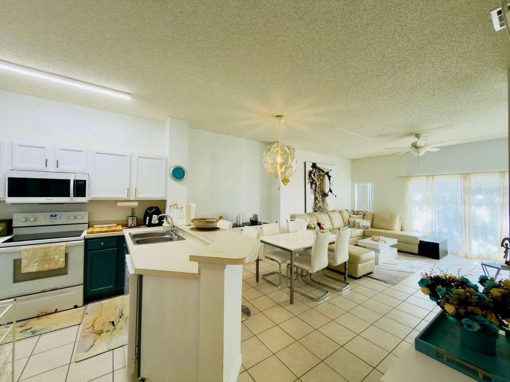 8439 Crystal Cove Loop Kissimmee FL 34747 O6259826 image4