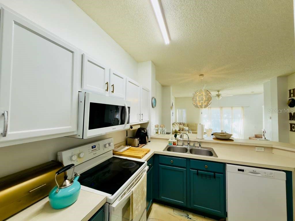 8439 Crystal Cove Loop Kissimmee FL 34747 O6259826 image8