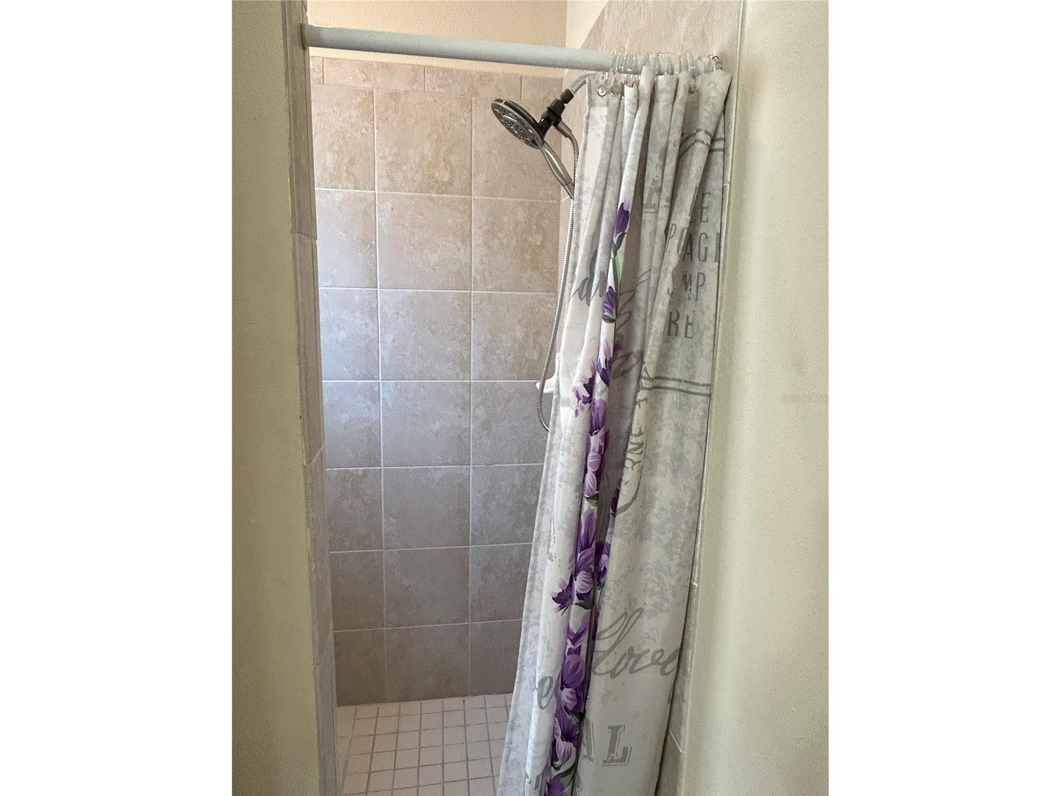 844 Callista Cay Loop Tarpon Springs FL 34689 TB8523300 image37