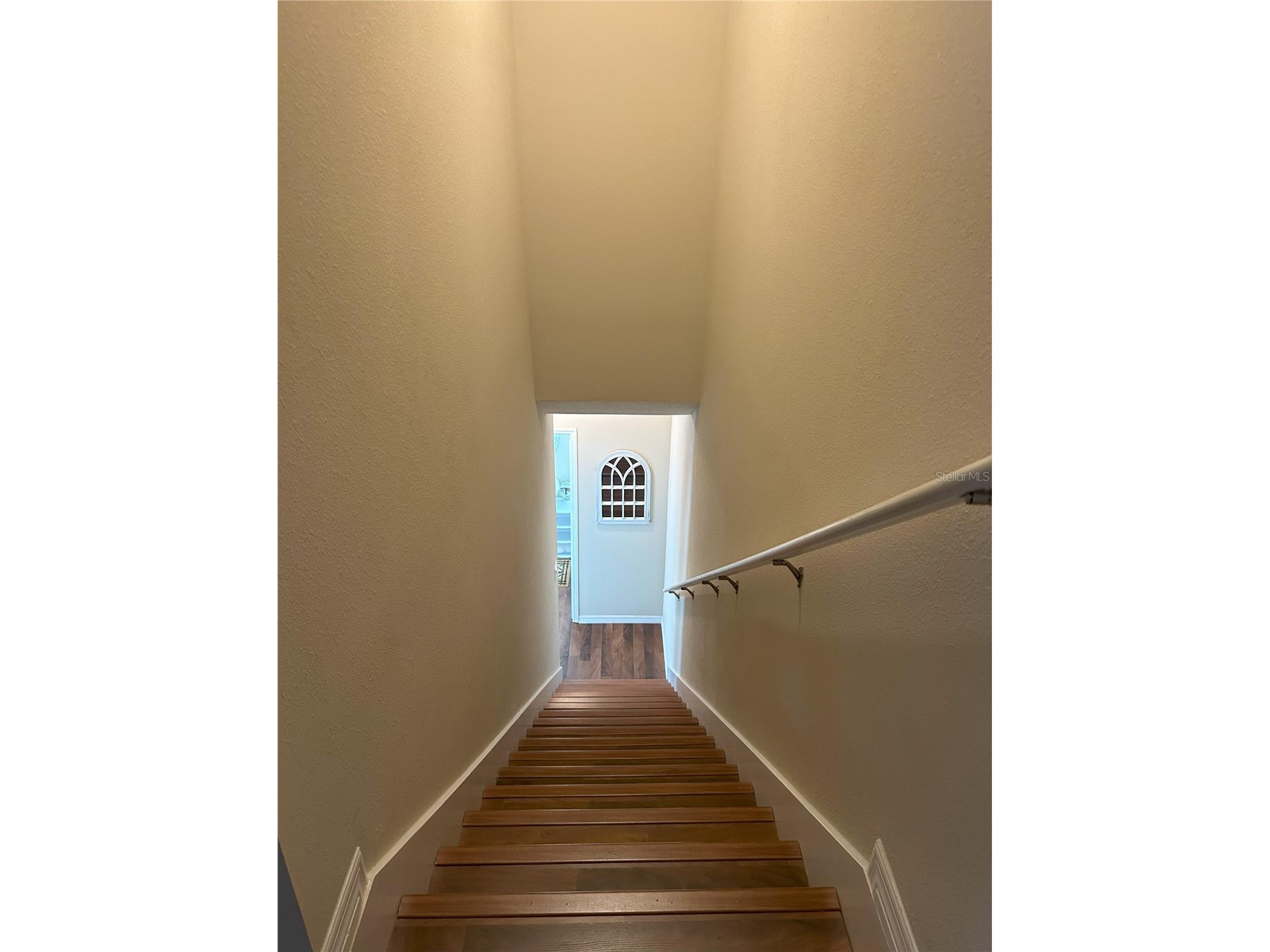 844 Callista Cay Loop Tarpon Springs FL 34689 TB8523300 image4