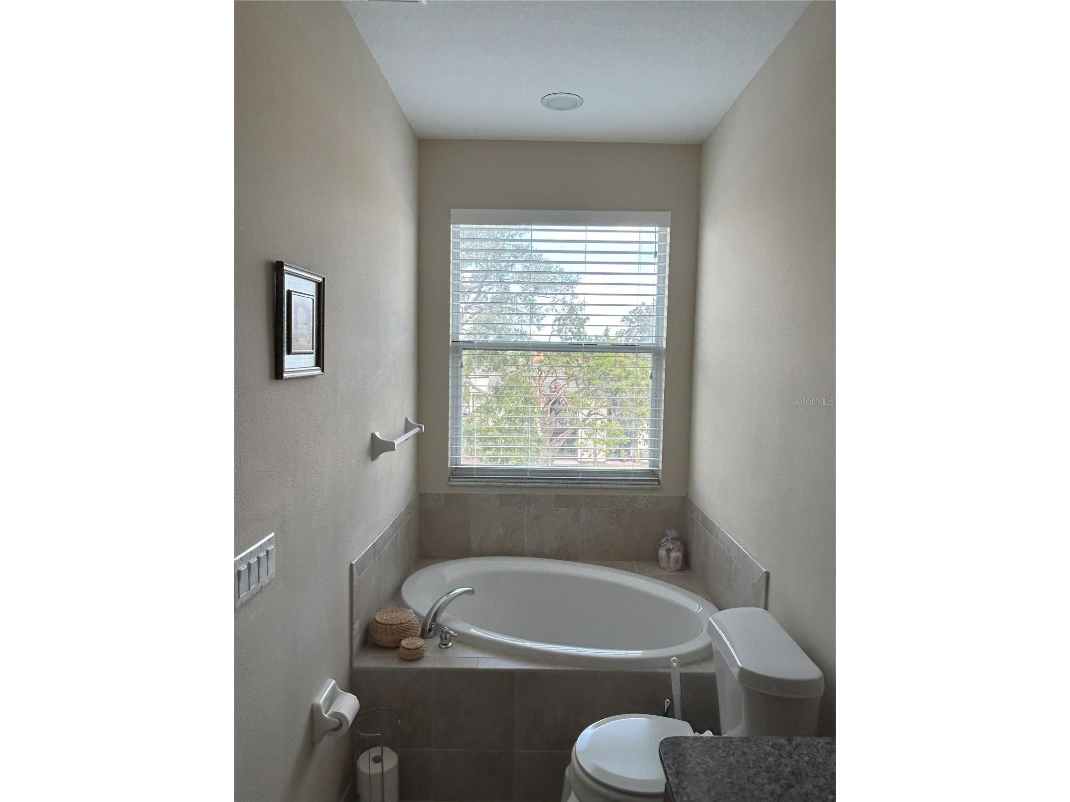 844 Callista Cay Loop Tarpon Springs FL 34689 TB8523300 image40