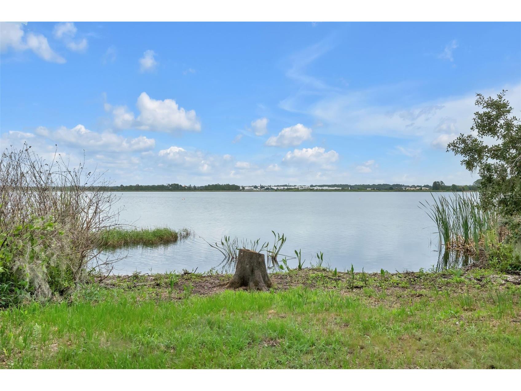844 Gisele Ct Haines City FL 33844 O6412002 image37