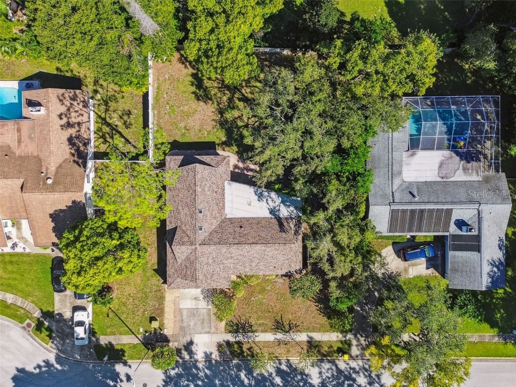 844 Park Court Palm Harbor FL 34683 W7879963 image50