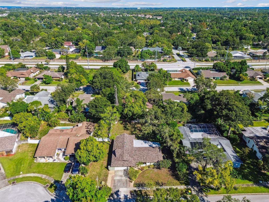 844 Park Court Palm Harbor FL 34683 W7879963 image52