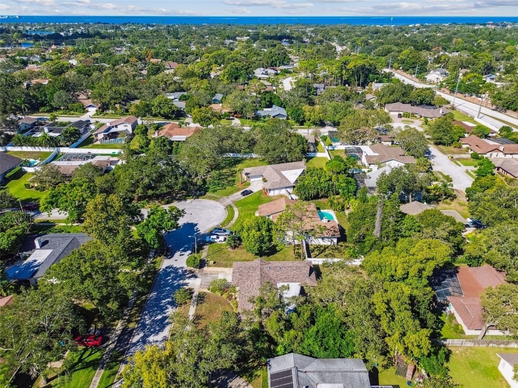 844 Park Court Palm Harbor FL 34683 W7879963 image53