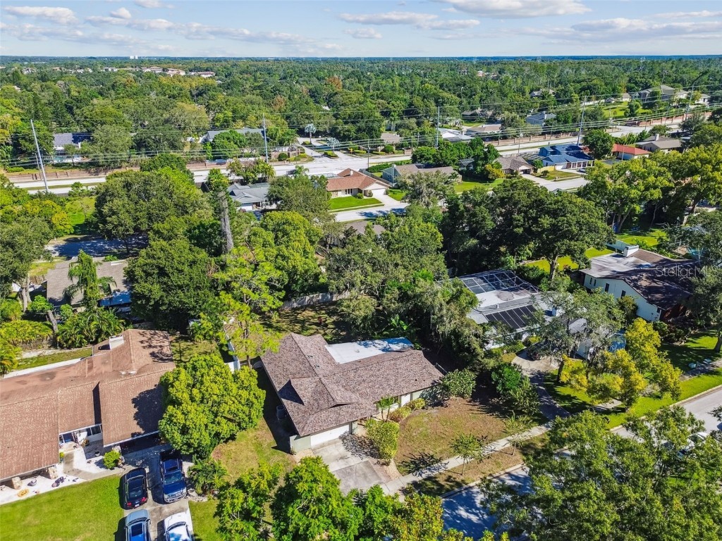 844 Park Court Palm Harbor FL 34683 W7879963 image54