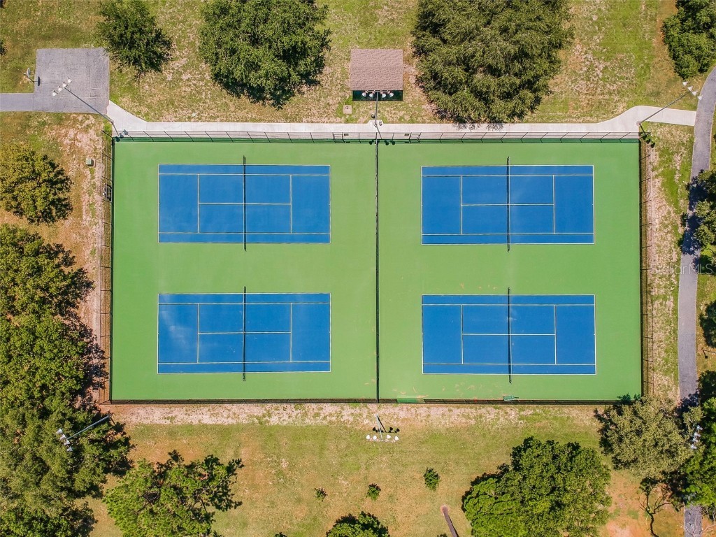 844 Park Court Palm Harbor FL 34683 W7879963 image57