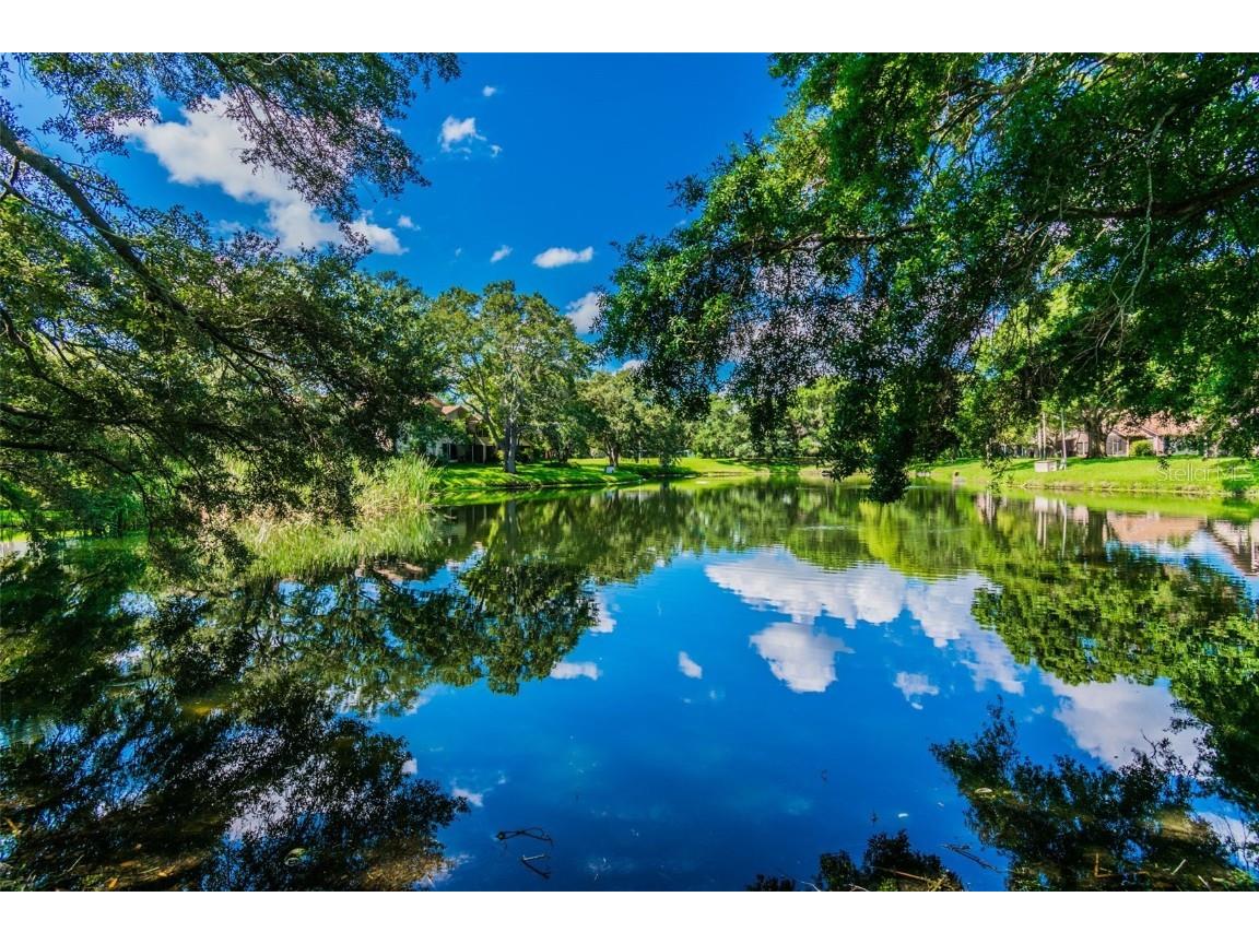 844 Park Court Palm Harbor FL 34683 W7879963 image59