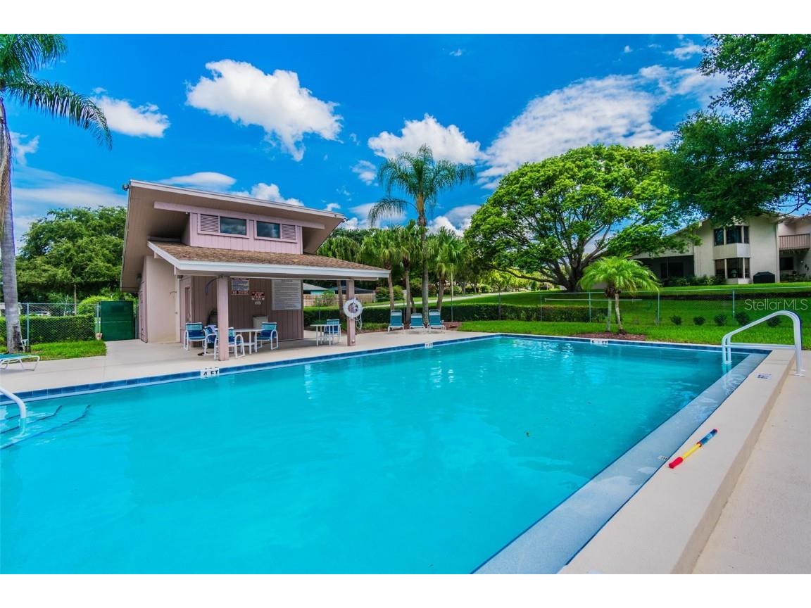 844 Park Court Palm Harbor FL 34683 W7879963 image61