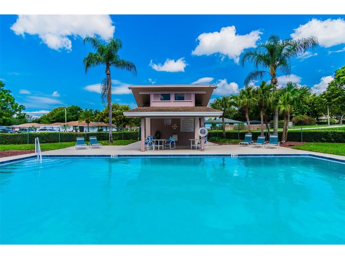 844 Park Court Palm Harbor FL 34683 W7879963 image62