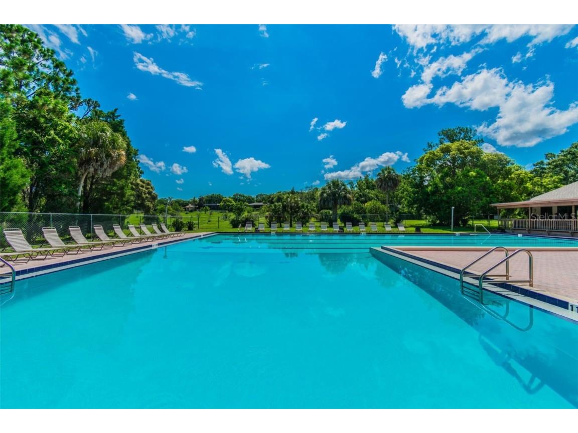 844 Park Court Palm Harbor FL 34683 W7879963 image64