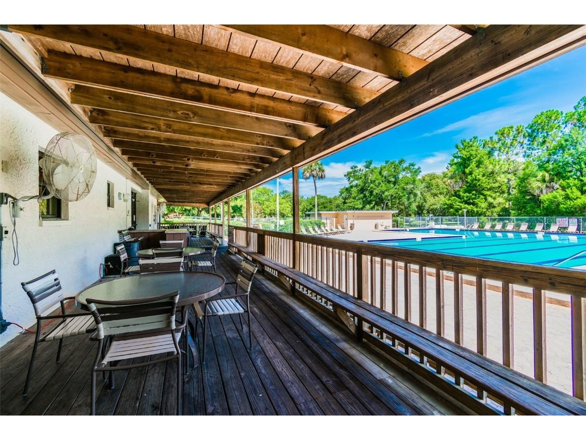 844 Park Court Palm Harbor FL 34683 W7879963 image67