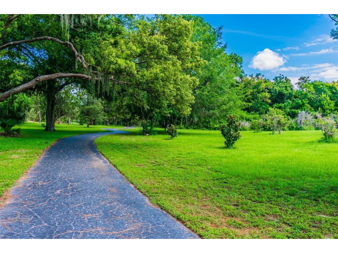 844 Park Court Palm Harbor FL 34683 W7879963 image71