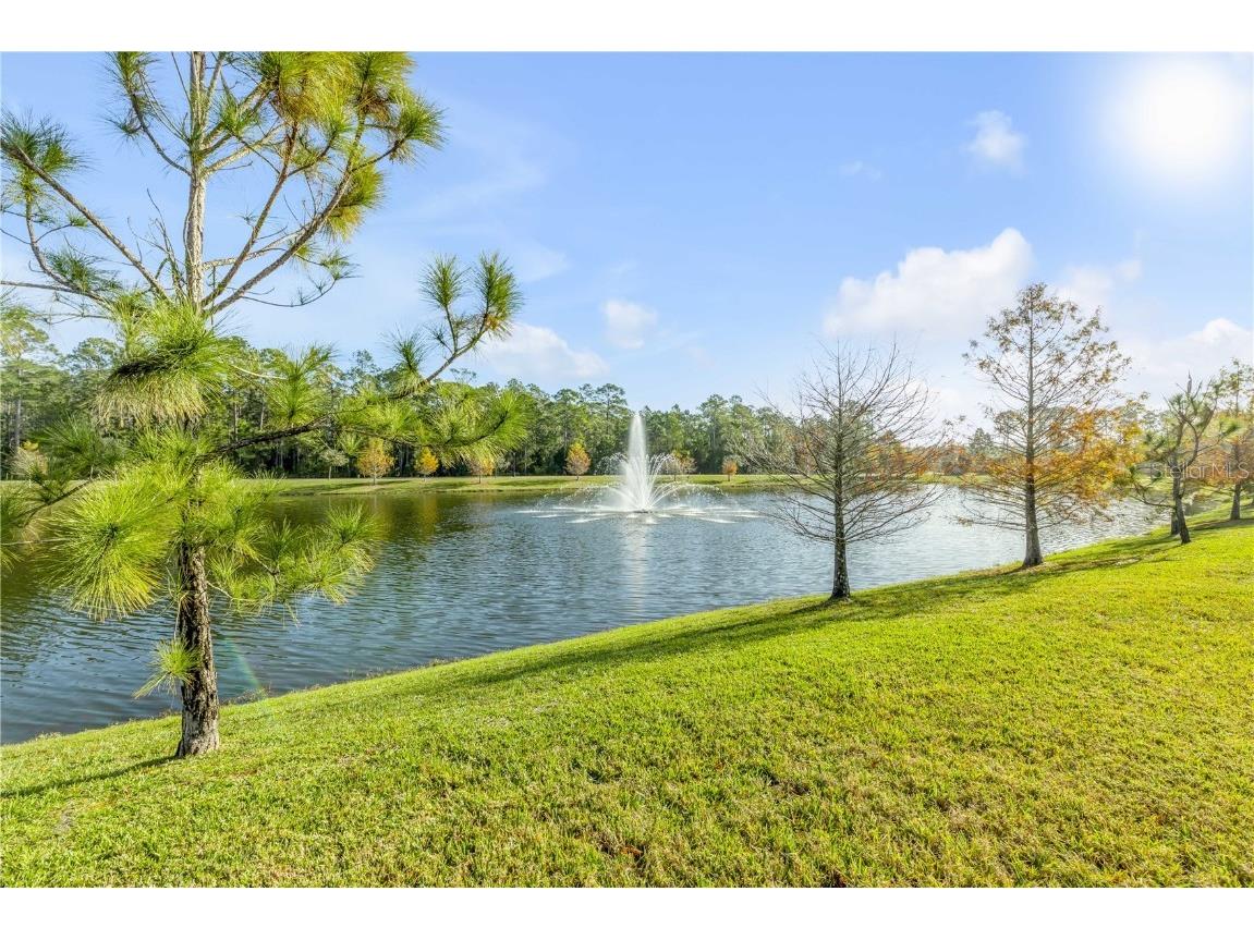 844 Pinewood Drive Ormond Beach FL 32174 O6369906 image25