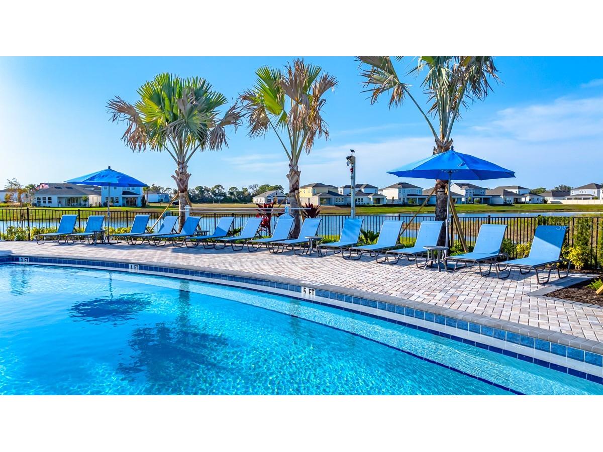 844 Steel Drive Apollo Beach FL 33572 TB8488078 image43