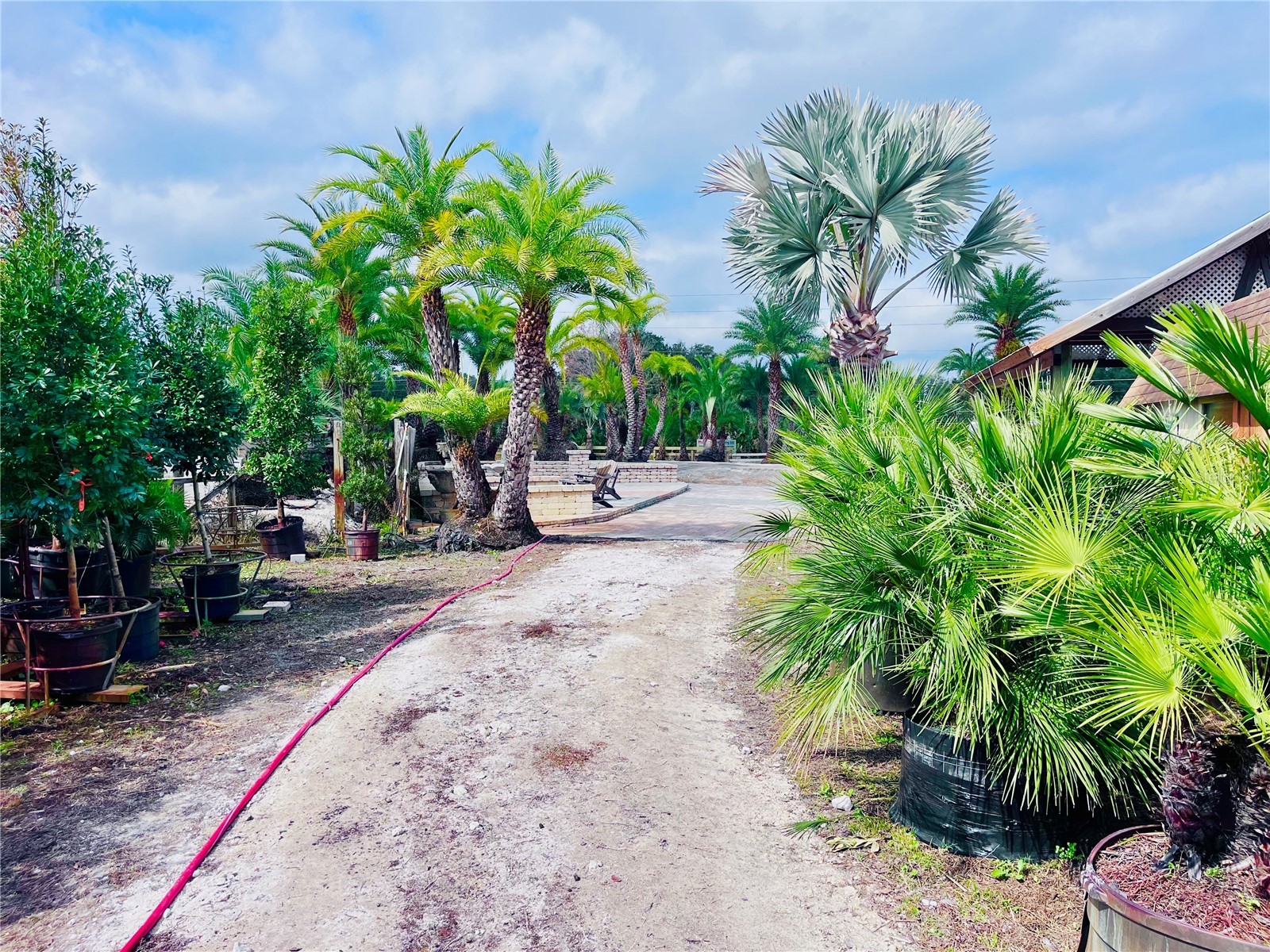 8440 County Road 48 Yalaha FL 34797 O6383051 image14