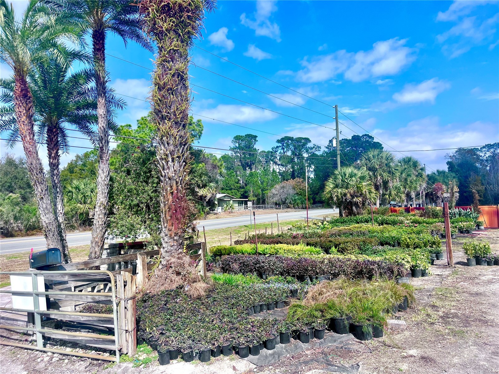 8440 County Road 48 Yalaha FL 34797 O6383051 image15