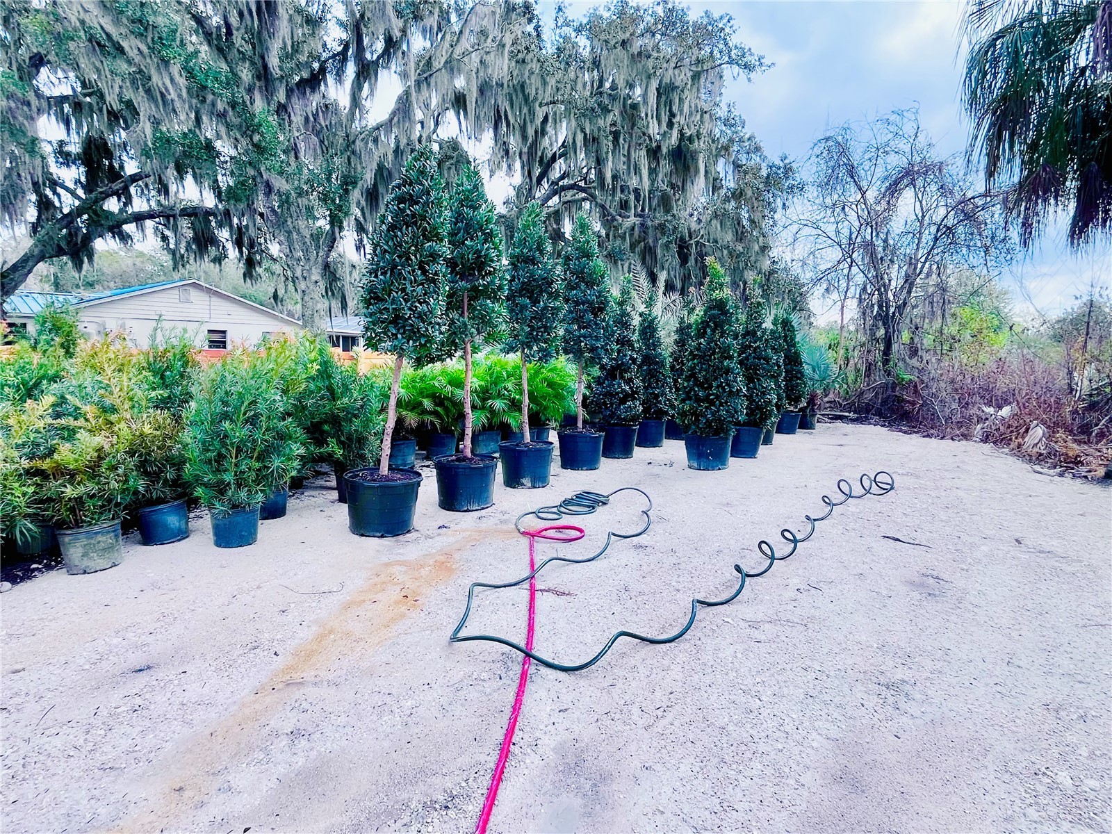 8440 County Road 48 Yalaha FL 34797 O6383051 image16