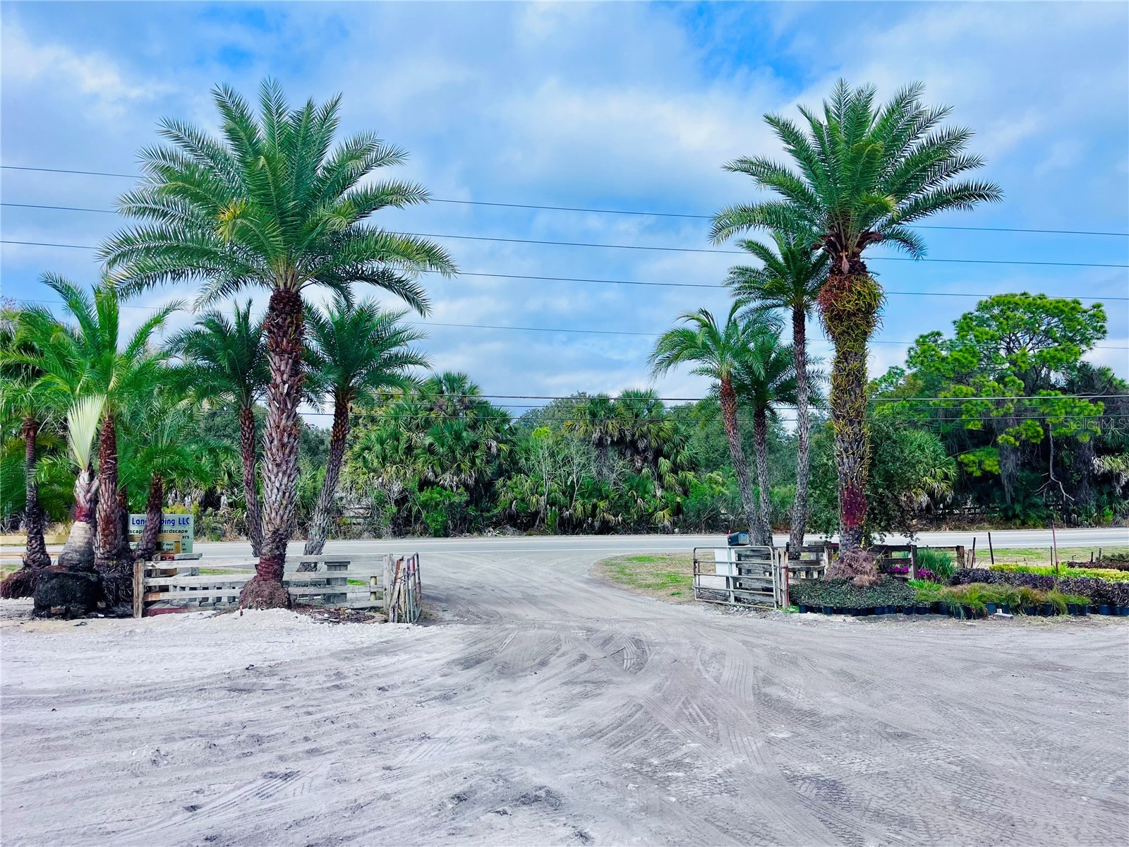 8440 County Road 48 Yalaha FL 34797 O6383051 image2