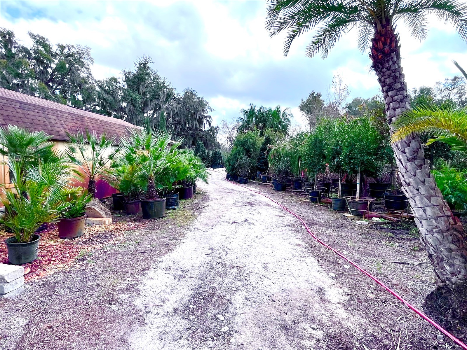 8440 County Road 48 Yalaha FL 34797 O6383051 image8
