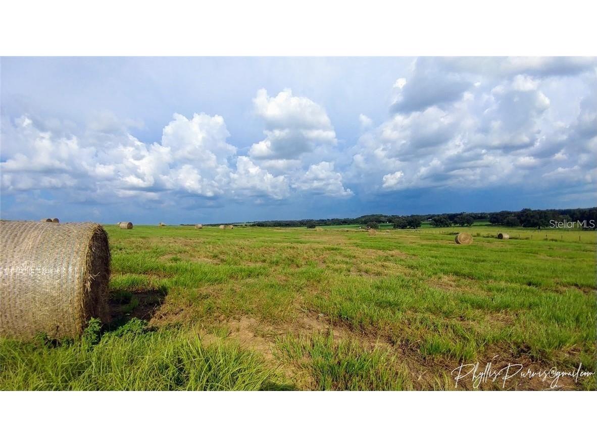 8440 Gall Boulevard Zephyrhills FL 33541 TB8402323 image1