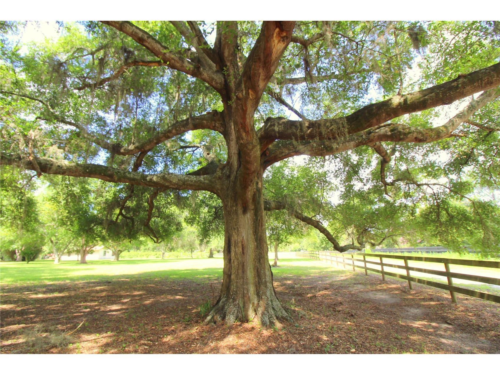 8440 SW 73rd Avenue Ocala FL 34476 OM724276 image34