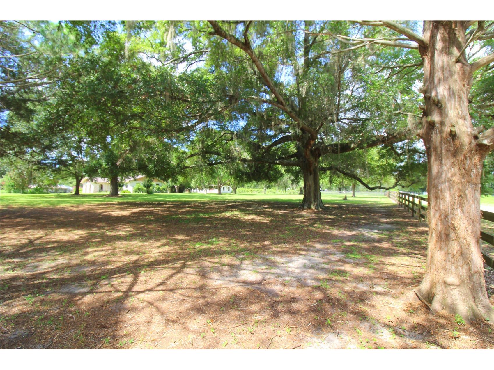 8440 SW 73rd Avenue Ocala FL 34476 OM724276 image35