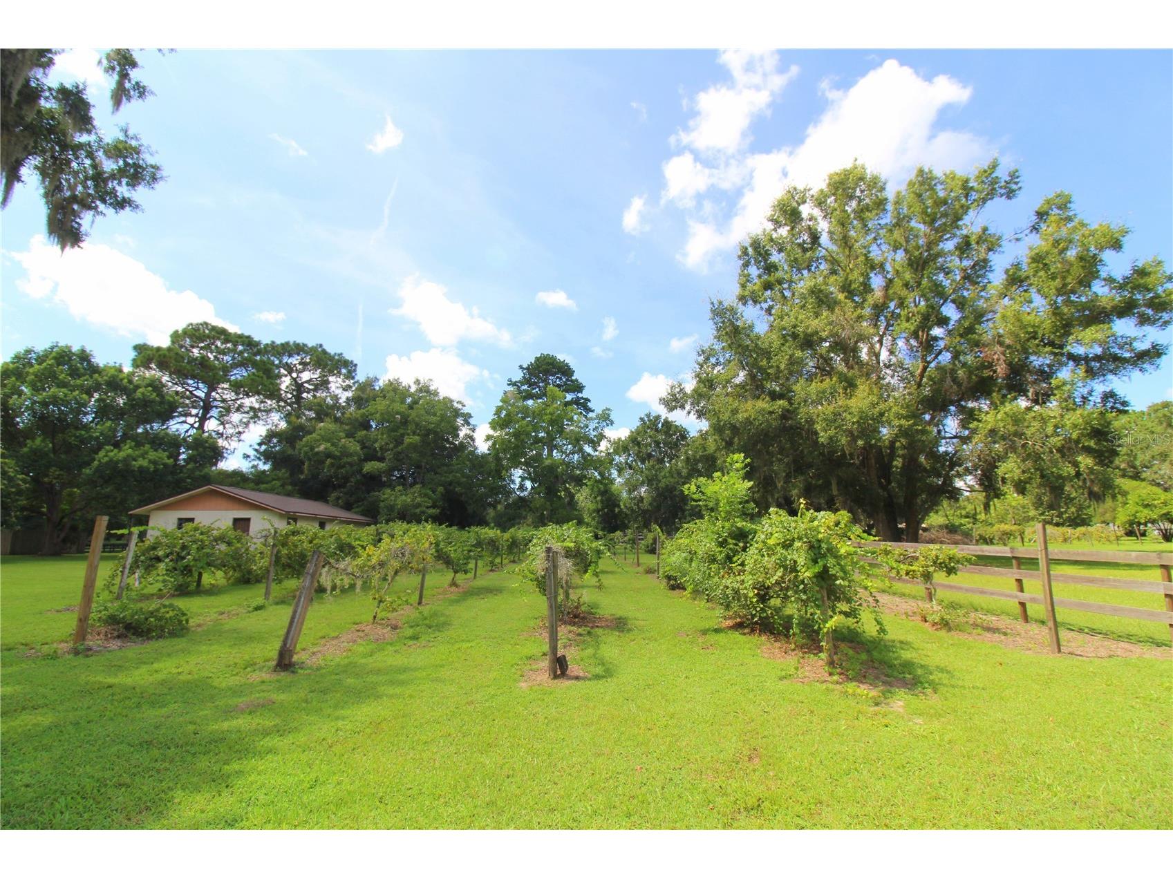 8440 SW 73rd Avenue Ocala FL 34476 OM724276 image40
