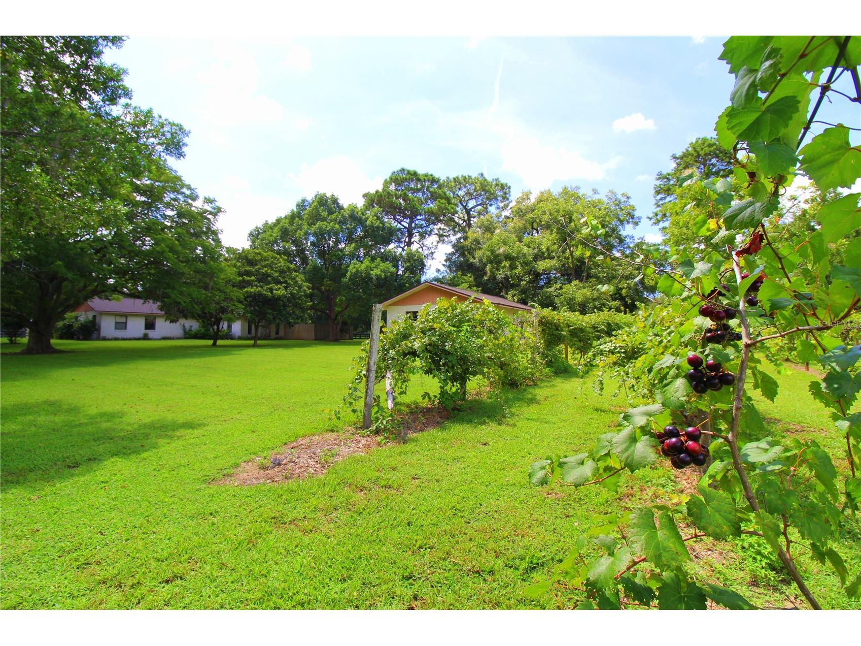 8440 SW 73rd Avenue Ocala FL 34476 OM724276 image41