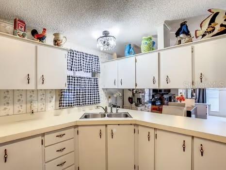 8442 Breeze Hill Drive Lake Wales FL 33898 - LAKE WALK IN WATER P4935967 image31