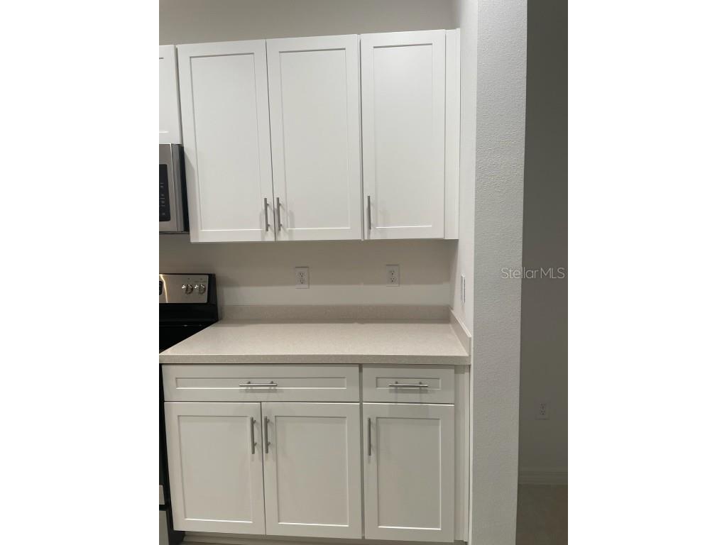 8443 Canyon Creek Trail Parrish FL 34219 U8228976 image6