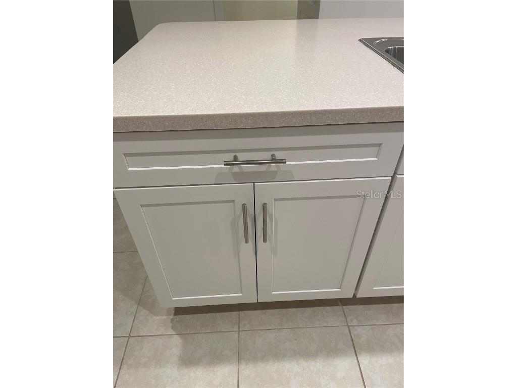 8443 Canyon Creek Trail Parrish FL 34219 U8228976 image7