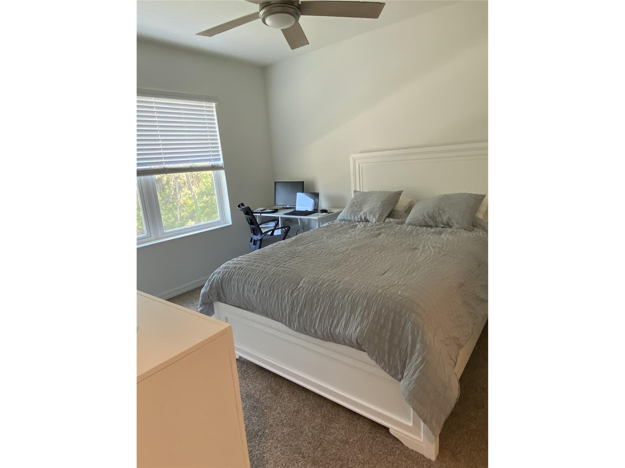 8443 Canyon Creek Trail Parrish FL 34219 U8228976 image21