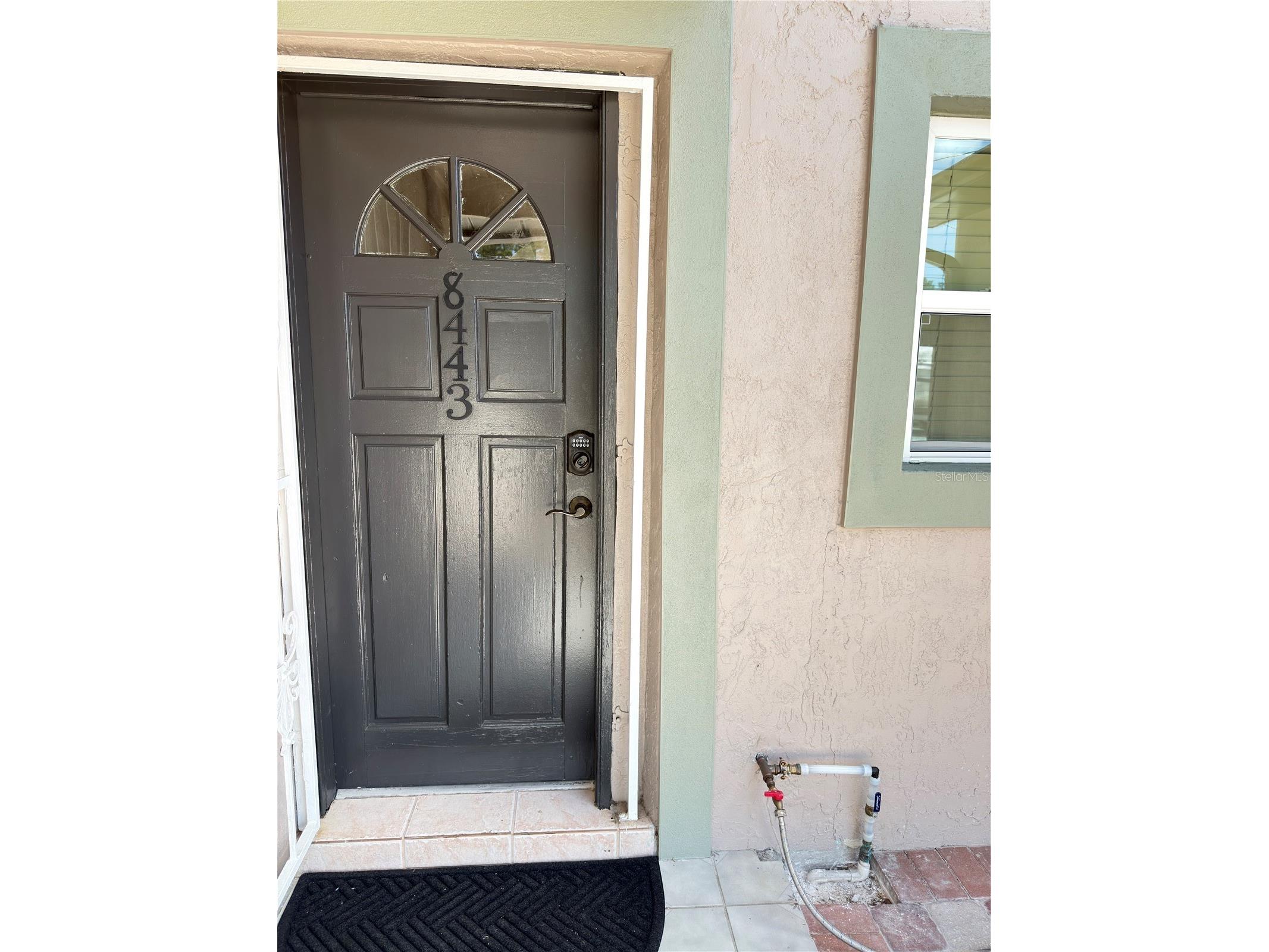 8443 N Grady Avenue Tampa FL 33614 TB8489770 image2