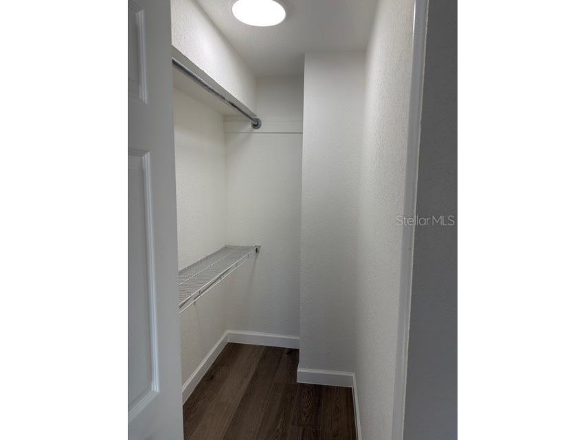 8443 N Grady Avenue Tampa FL 33614 TB8489770 image23