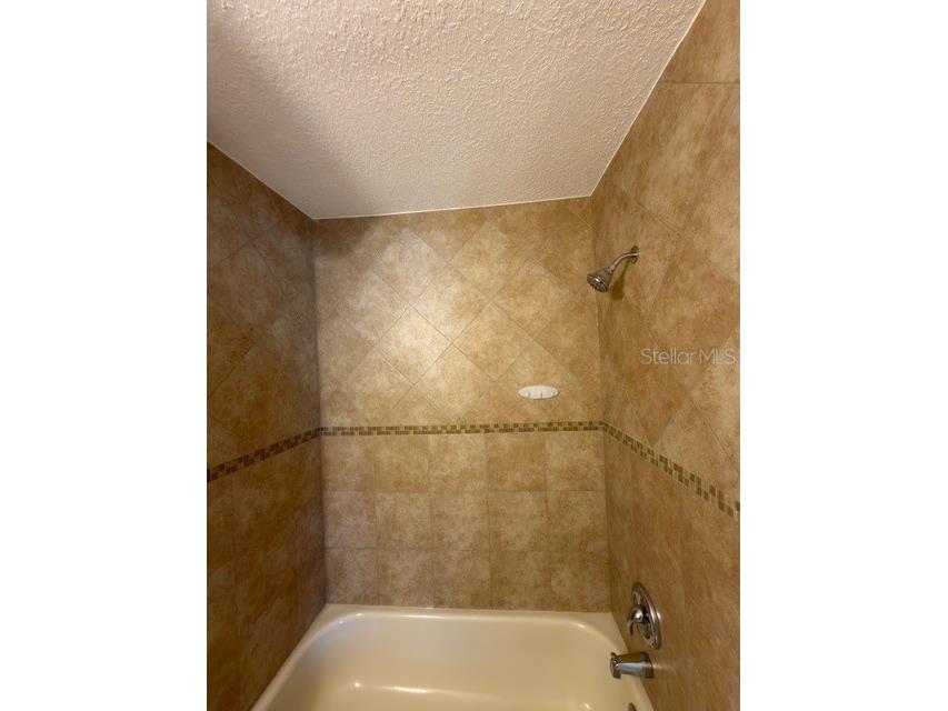 8443 N Grady Avenue Tampa FL 33614 TB8489770 image26