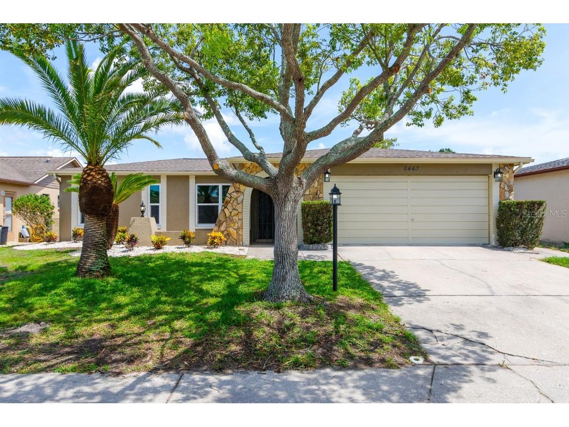 8443 Redfield Drive Port Richey FL 34668 T3459409 image1