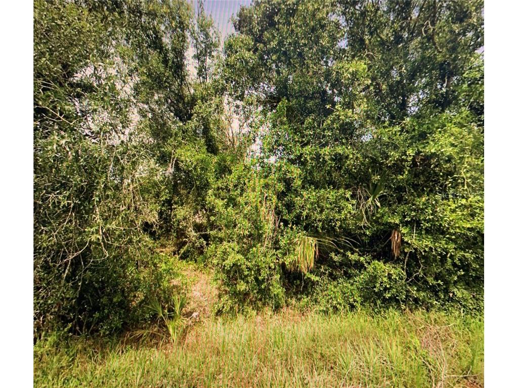 8443 SW Prairie Avenue Arcadia FL 34269 O6227931 image1