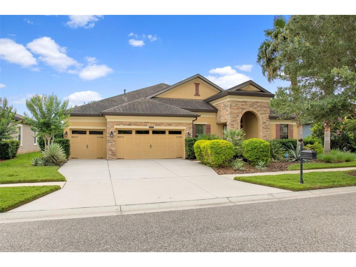 8444 Swiss Chard Circle Land O Lakes FL 34637 W7855425 image1