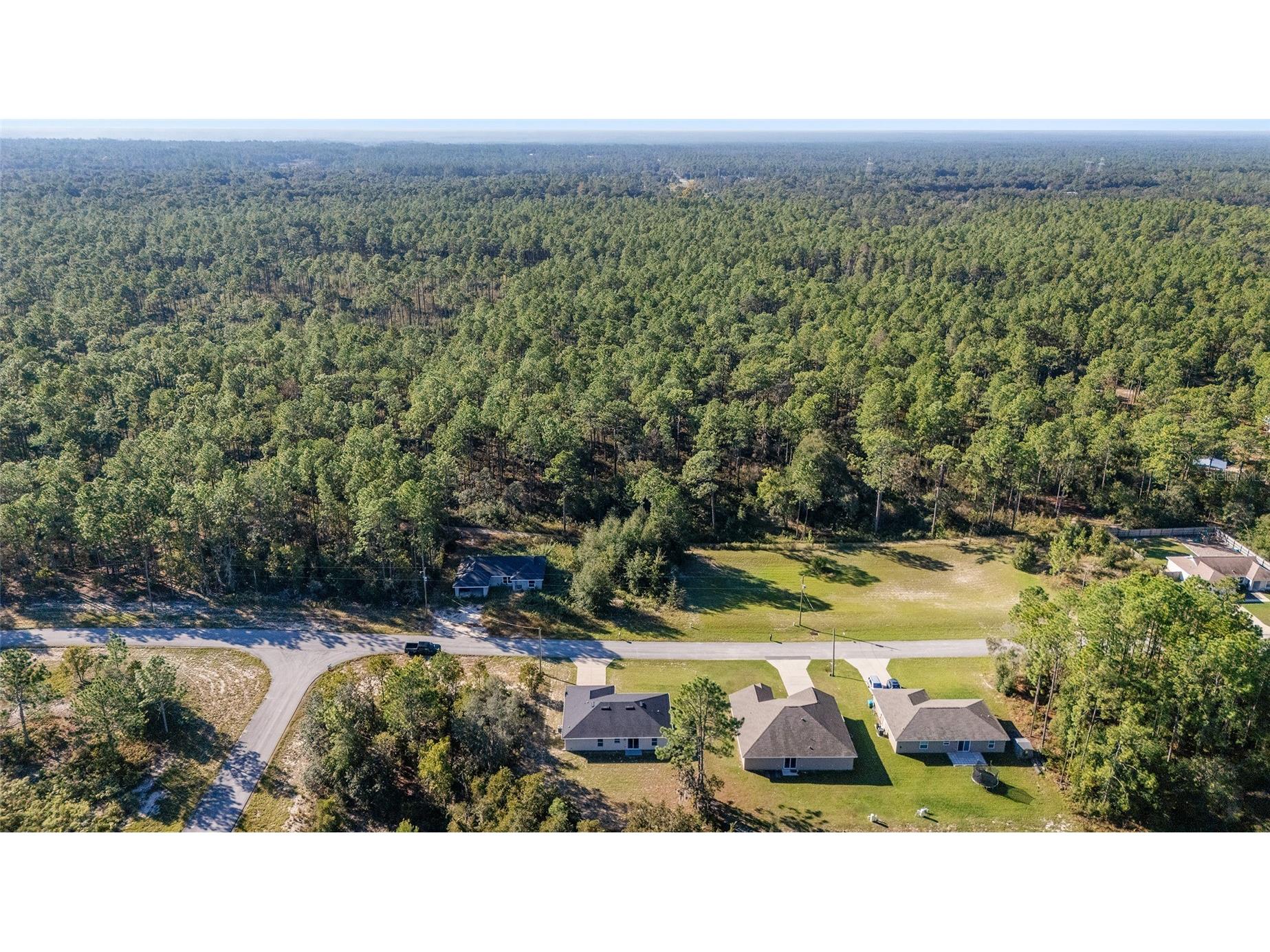 8445 SW 139 Lane Road Ocala FL 34473 OM711611 image16