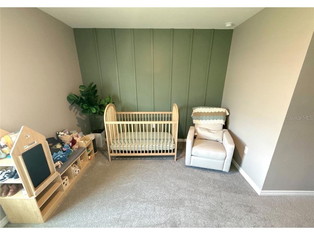 8446 Hardy Bay Loop Wesley Chapel FL 33545 N6140195 image16