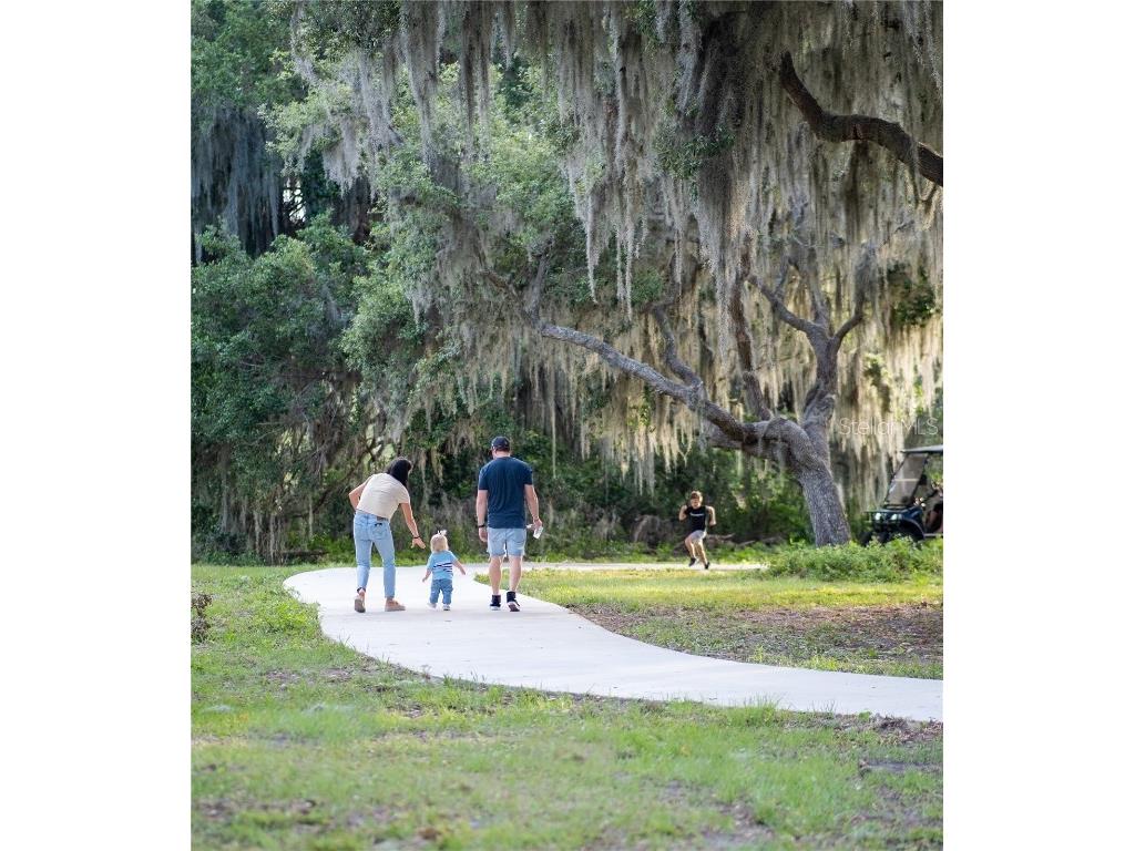 8446 Hardy Bay Loop Wesley Chapel FL 33545 N6140195 image37