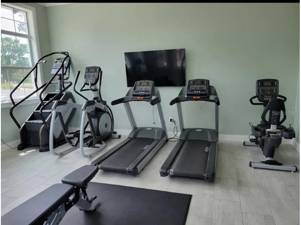 8446 Quarter Horse Drive Riverview FL 33578 TB8446739 image25