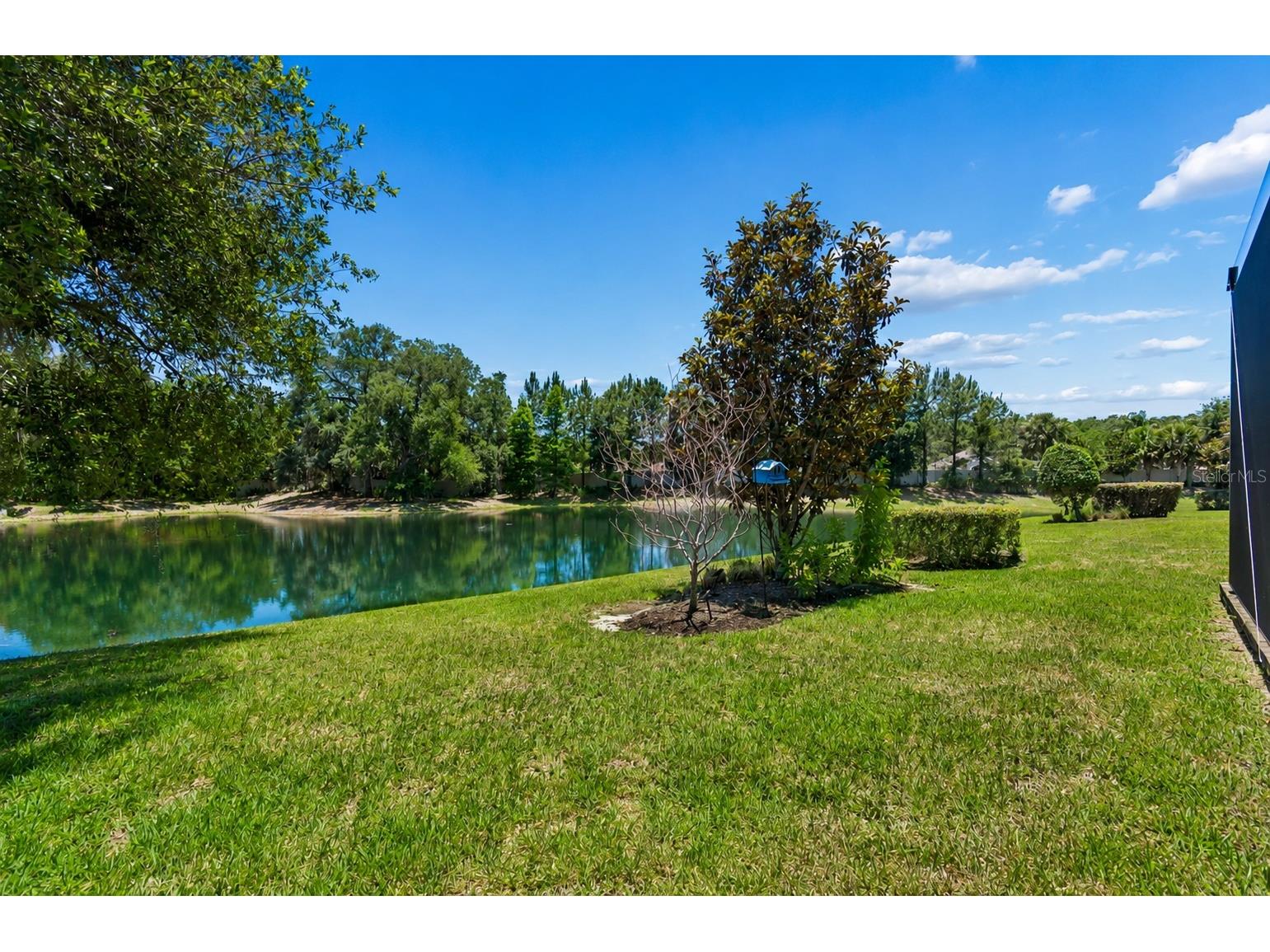 8447 Alberata Vista Drive Tampa FL 33647 TB8507147 image4