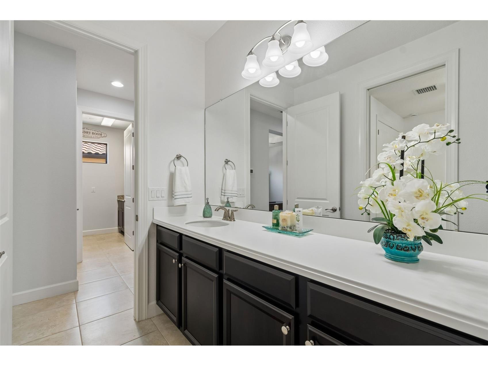 8447 Alberata Vista Drive Tampa FL 33647 TB8507147 image45