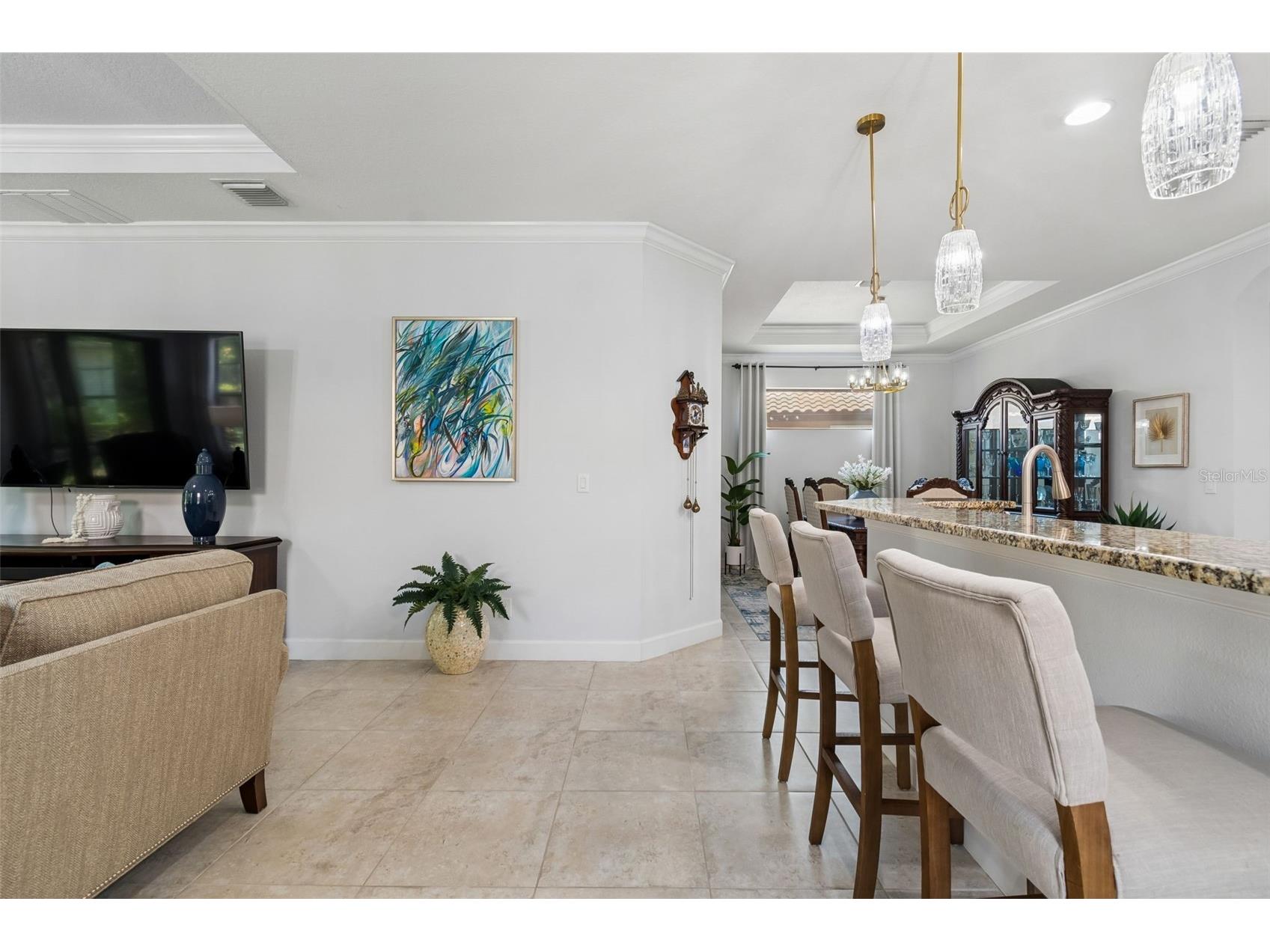 8447 Alberata Vista Drive Tampa FL 33647 TB8507147 image53