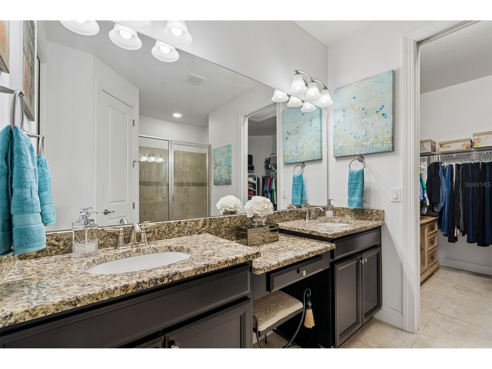 8447 Alberata Vista Drive Tampa FL 33647 TB8507147 image60