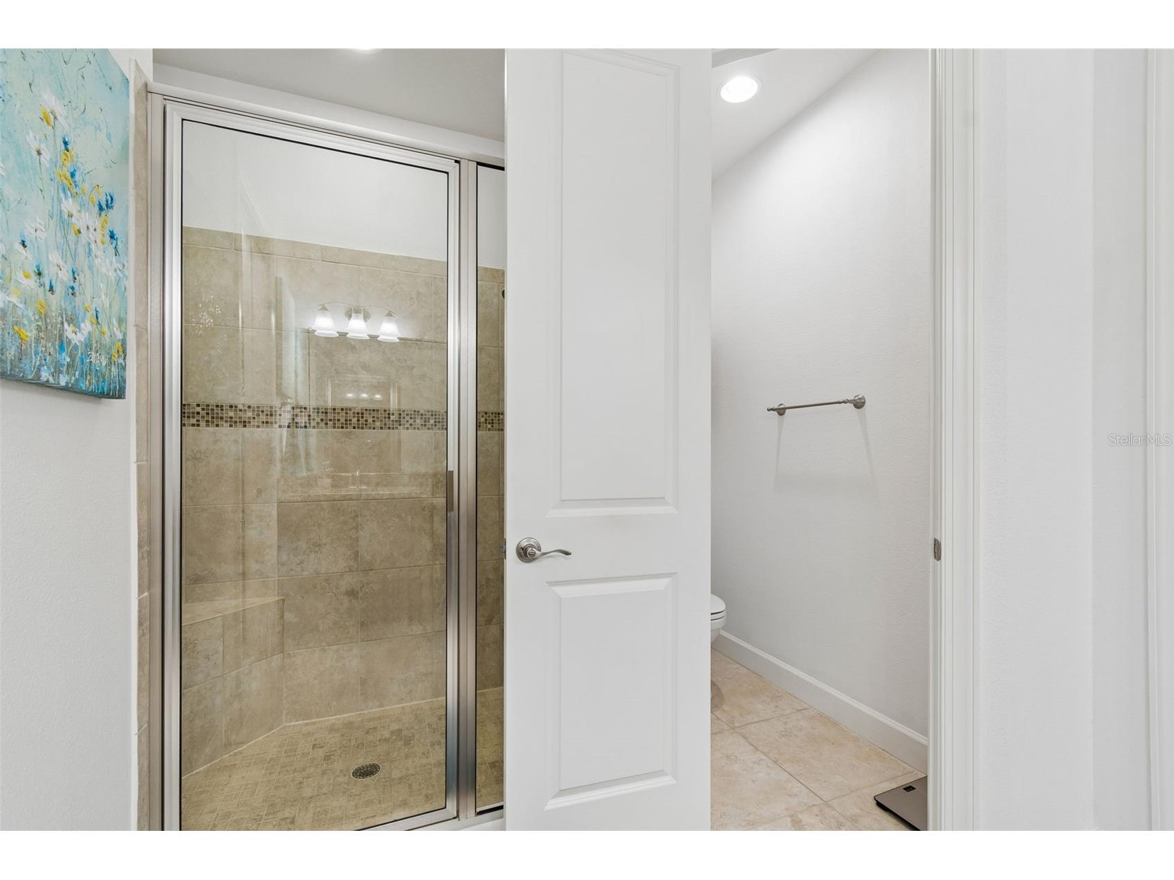 8447 Alberata Vista Drive Tampa FL 33647 TB8507147 image62
