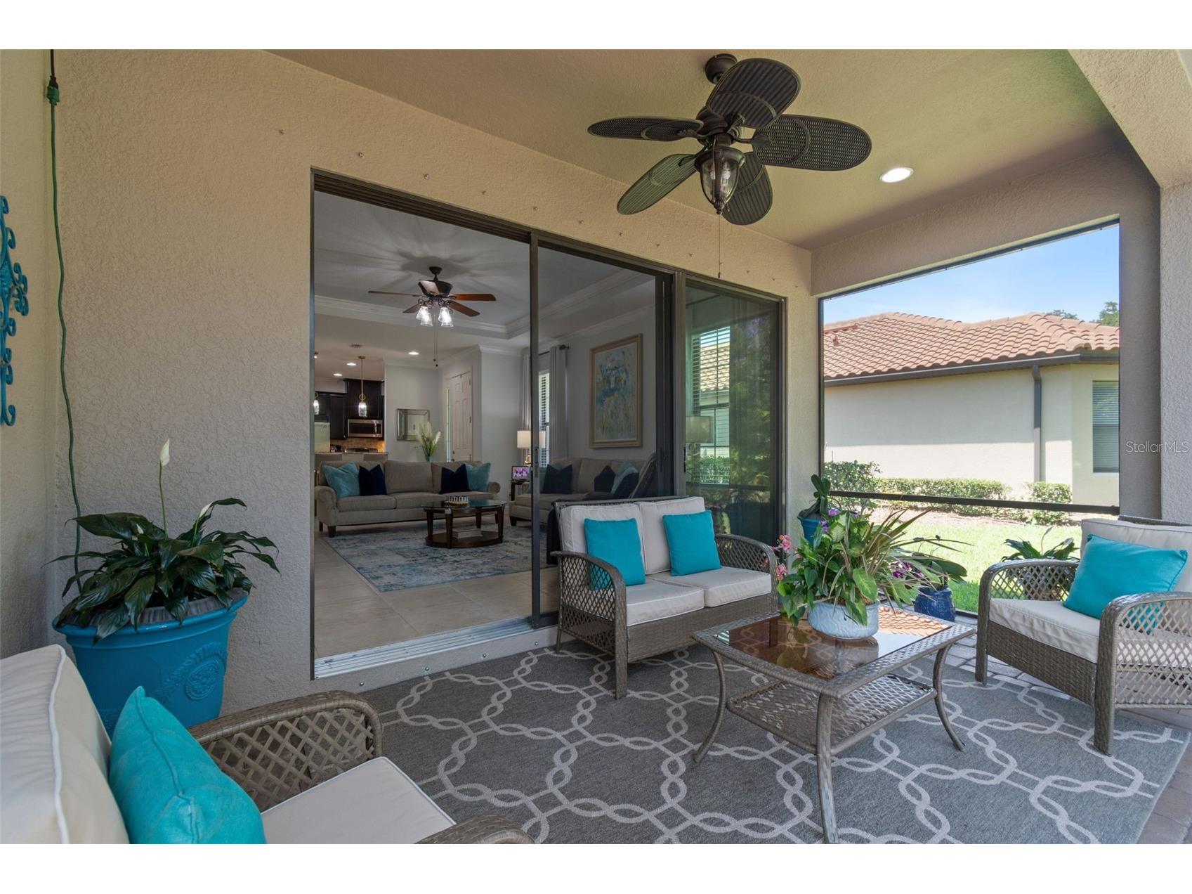 8447 Alberata Vista Drive Tampa FL 33647 TB8507147 image64