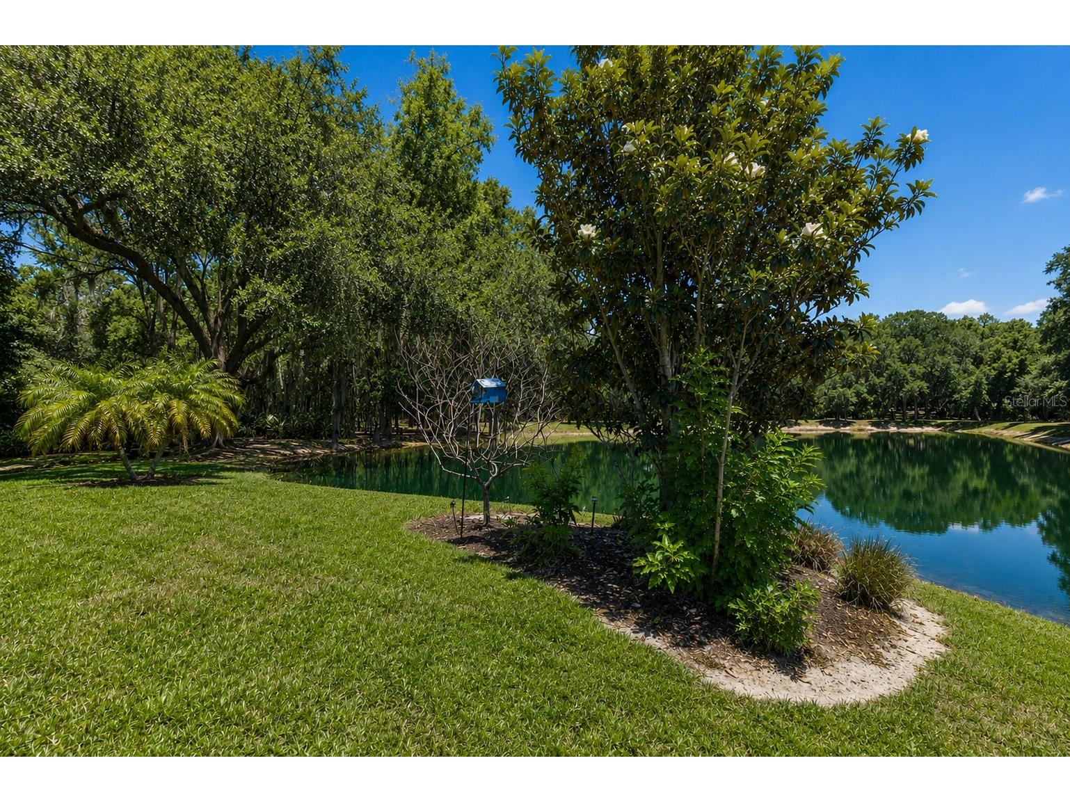 8447 Alberata Vista Drive Tampa FL 33647 TB8507147 image70